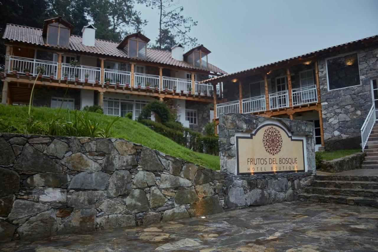 Hotel Frutos Del Bosque Zacatlán Exterior foto